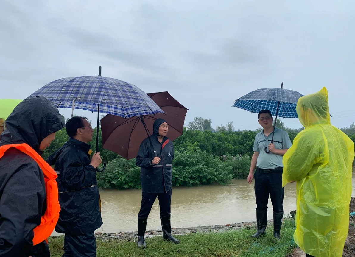 1627886097685351.png image.png