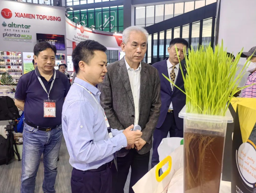 1685347965269797.png image.png