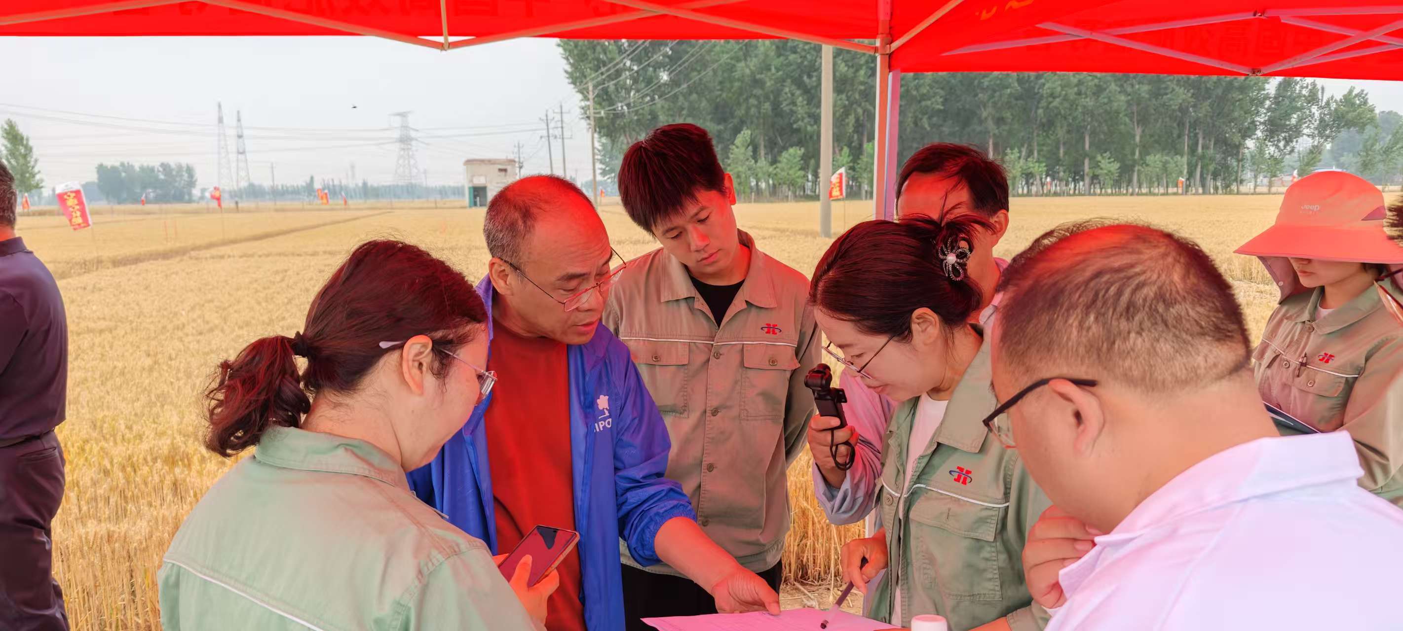 高温旱情下科技赋能农业！心连心集团主持的两个“十四五”课题交出亮眼成绩单